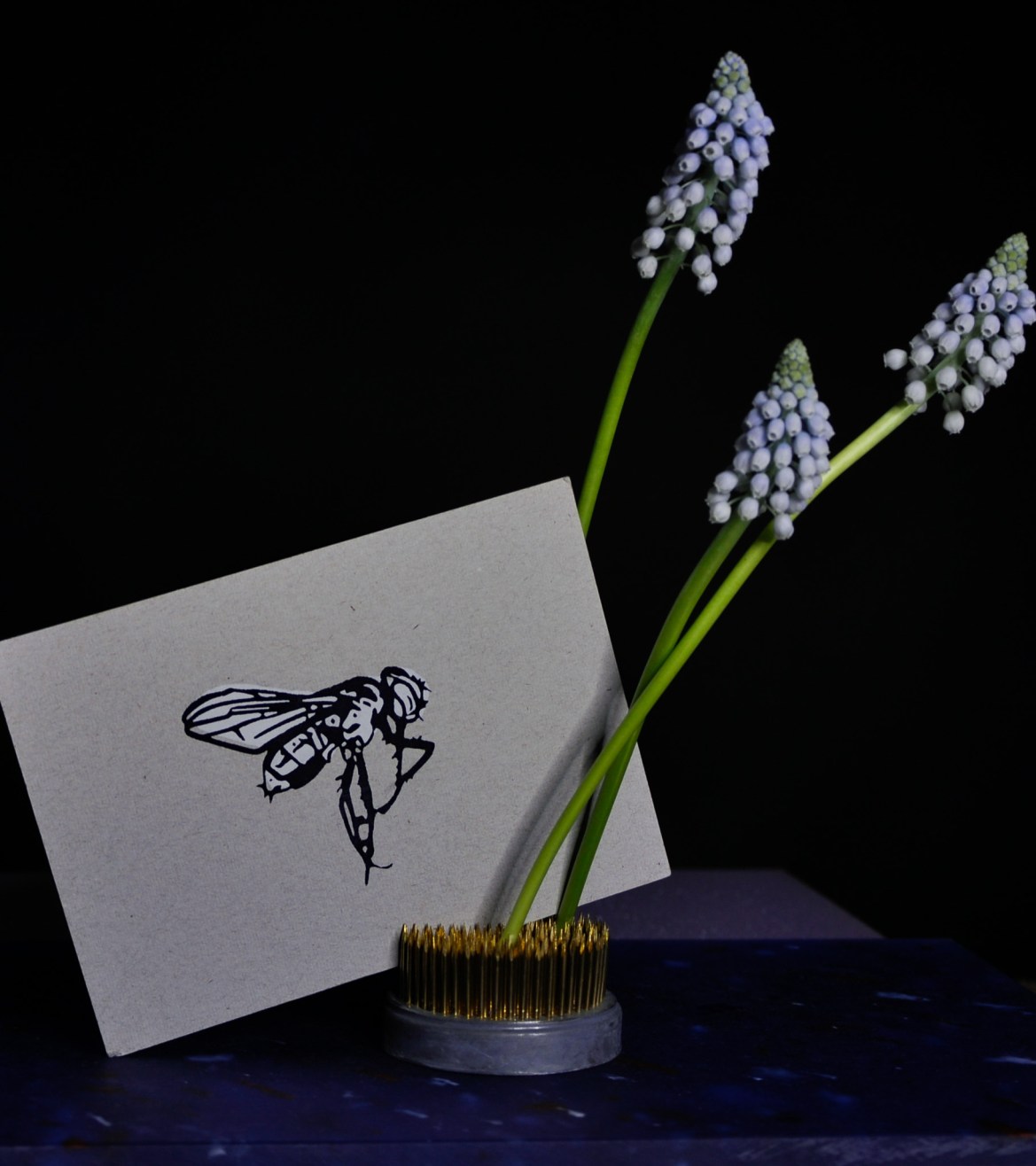 Blumengalerie-Shop-Grusskarten-die letzte tote Fliege.jpg